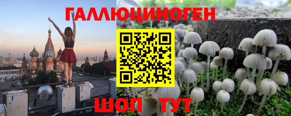 Псилоцибиновые грибы ЛСД  Вход с VPN  Тихвин  Галлюциногенные грибы мухоморы 