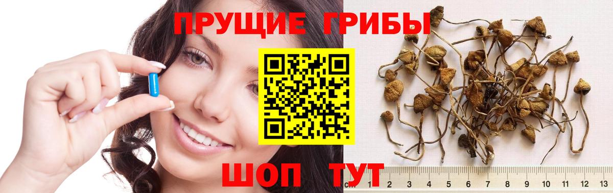 Галлюциногенные грибы мицелий Тихвин