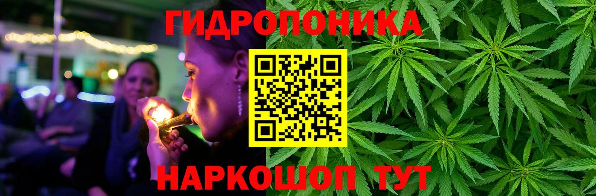 Бошки Шишки VHQ  Вход с VPN  Бошки марихуана конопля  Тихвин  Каннабис Amnesia  Конопля AK-47 